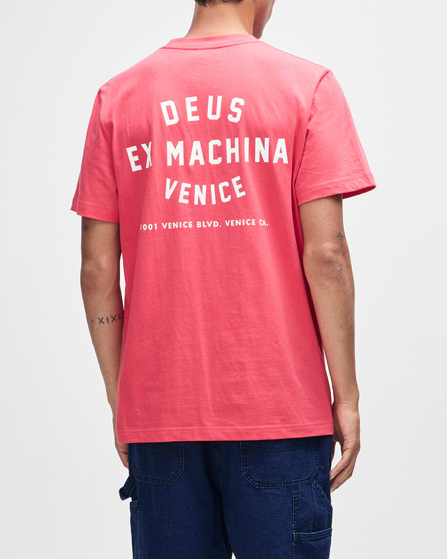 D261MTS128-VeniceSkullTee-Melon