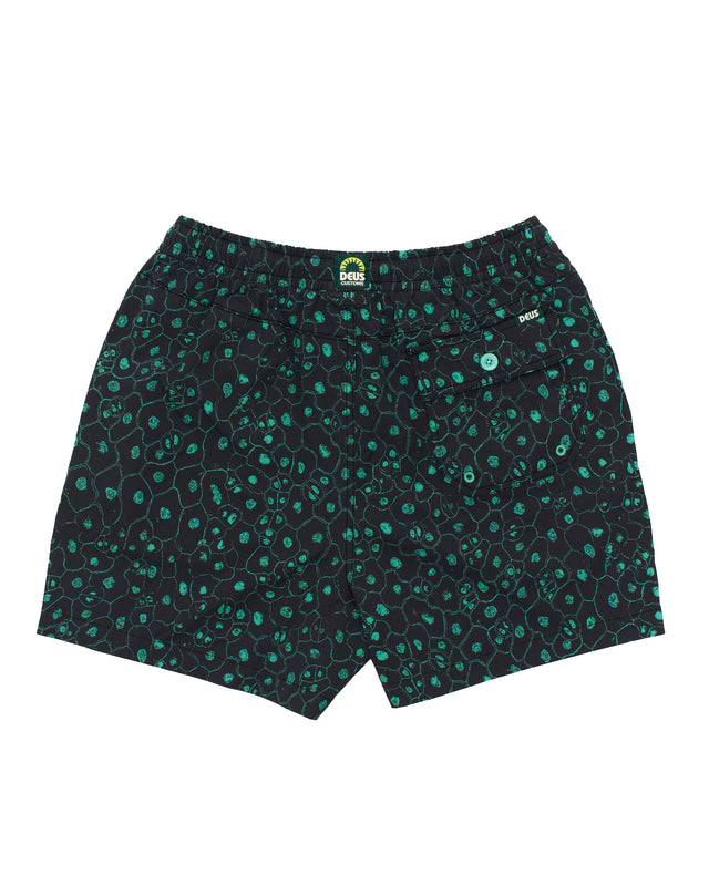 plant-cell-boardshort-mesh-biscay-green