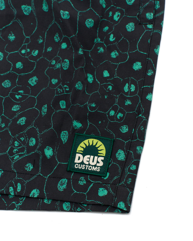 Plant Cell Boardshort - Biscay Green