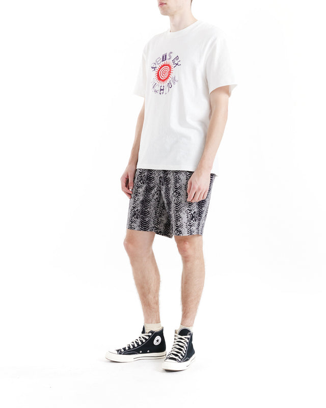 Snake Eyes Beach Short - Titanium