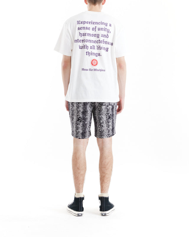 Snake Eyes Beach Short - Titanium