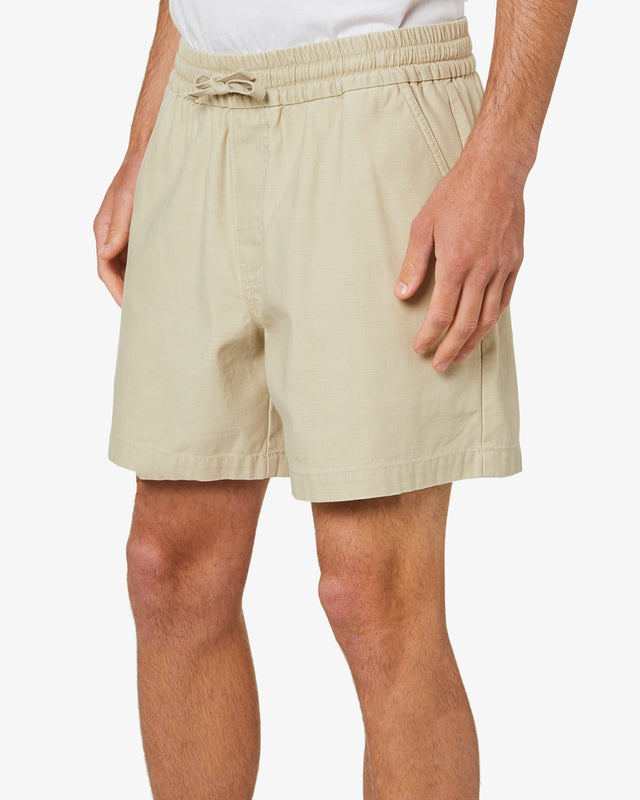 Terrance Short - Safari